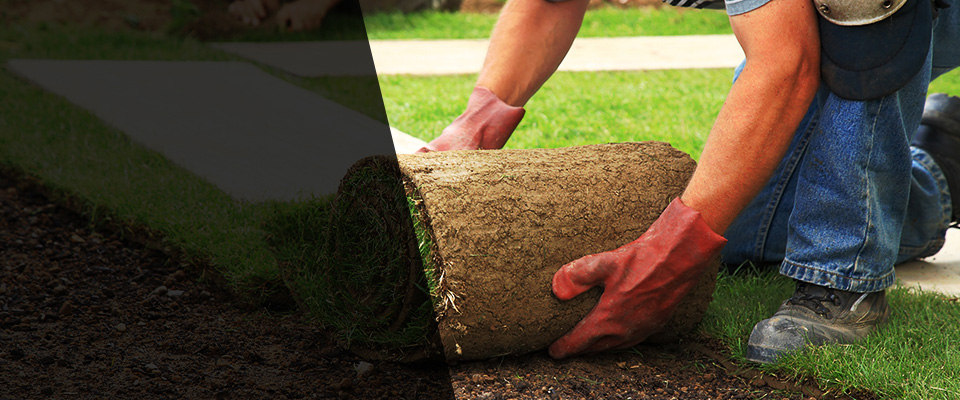 Karnes City Landscapers